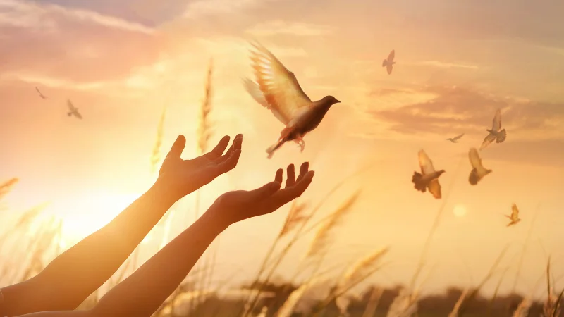 35 best stress relief quotes and daily affirmations for holistic health healing with Melissa Potter in Tasman Bay NZ..