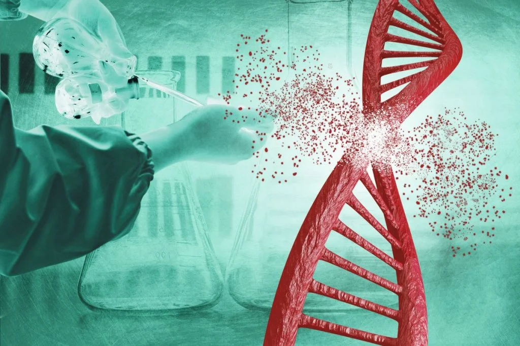 Digital representation of DNA activation through nutrigenomics and biohacking in New Zealand.