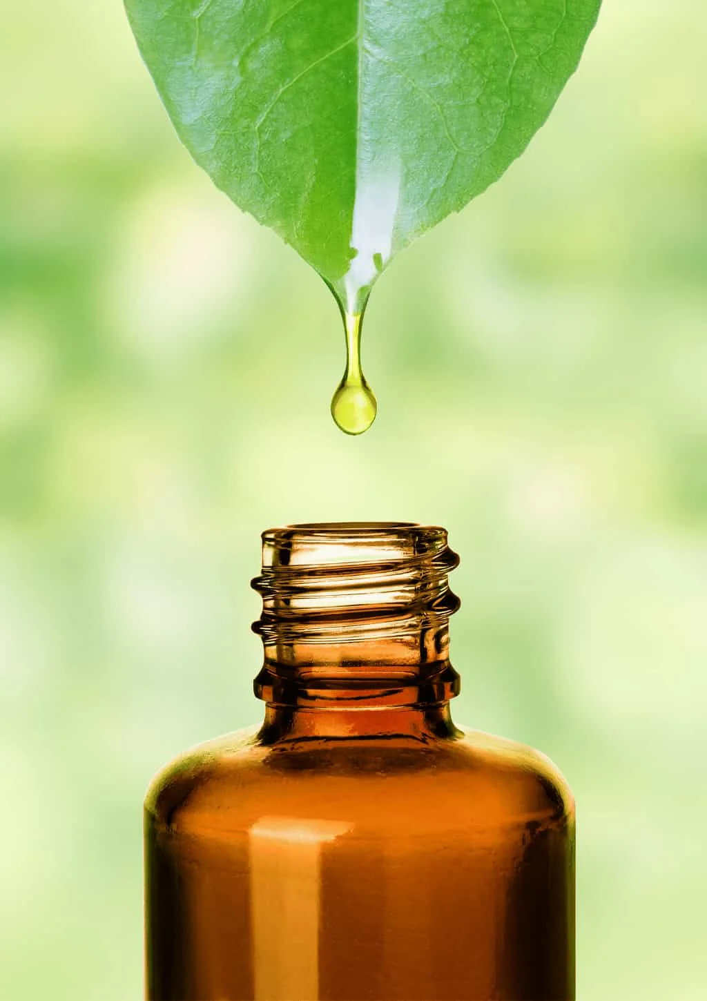 Pure therapeutic grade essential oil representing the natural purity of CPTG products in Tasman Bay.